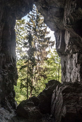 natural arch with trees on the background and blue sky