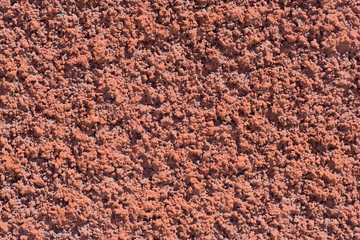Background of the brown cement wall is plaster rough style.