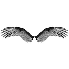 Eagle's wings monochrome pattern