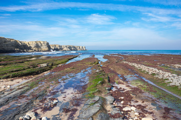 The coast of Atlantic ocean