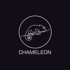 One line chameleon logo © mkvolkova