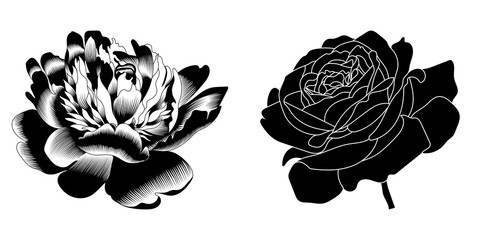 Graphical  set of black rose bud illustration.  Vector.