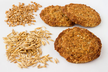Oatmeal cookies among wheat  and oat grains on  white background