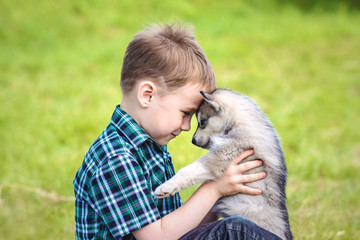 the boy with husky puppy