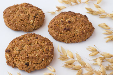 Oatmeal cookies among spikelets of oats on  white background