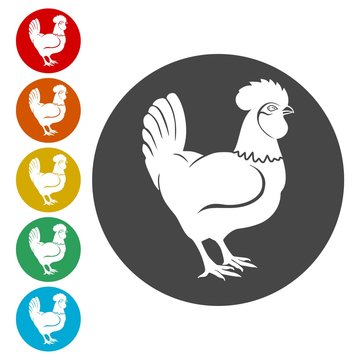 Rooster icons set - vector Illustration 