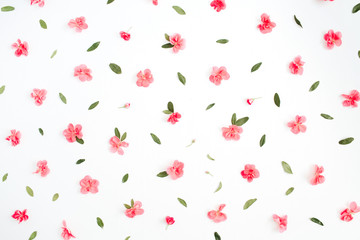 Floral pattern made of pink hydrangea flowers, green leaves, branches on white background. Flat lay, top view. Floral background. Pattern of flowers.