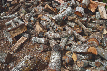 firewood pile