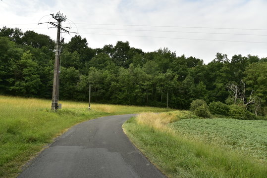 Route de campagne &agrave; travers pairie et champs pr&egrave;s d'un bois au P&eacute;rigord Vert 