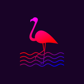 Silhouette of flamingo