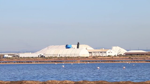 Salt mountain in nature reserve "Marismas del Odiel"