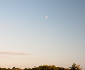 blue sky with trees skyline at bottom and white moon