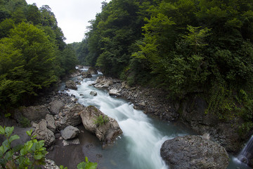 Nature in the mountains of Abkhazia