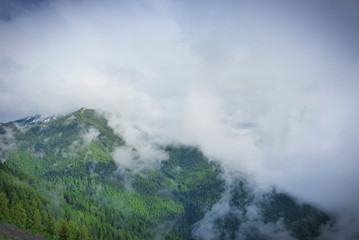 Fog on Mount 'Seven' . A cool and moody morning on the top of the world.