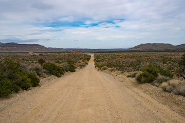 A car drives down a dirt road in the Mojave National Preserve