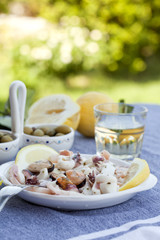 traditional mediterranian seafood appetizers with olives, lemons and white wine