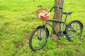 Fototapeta premium Bicycle with basket of beautiful flowers near tree in spring park