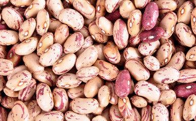 Close up top view of seeds of kidney beans