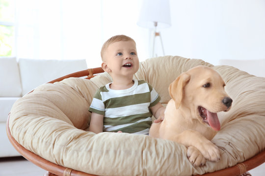 Cute child with Labrador Retriever on lounge at home