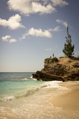 Fototapeta premium caribbean beach