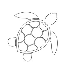 Obraz premium Ikona linii żółwia morskiego