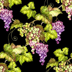 Seamless pattern with grapes. Hand draw watercolor illustration.