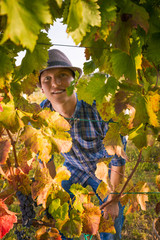 Naklejka na ściany i meble Close-up of young farmer looking at camera through the grape leaves