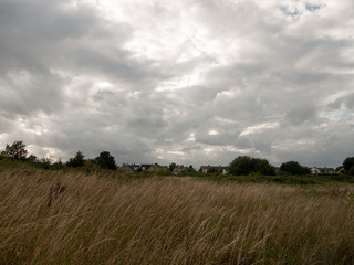 Obraz premium uk sunset over grass field with moody skies and houses and trees