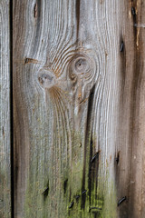 Fototapeta premium Marode Bretterwand