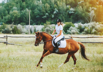 Girl jockey riding a horse - obrazy, fototapety, plakaty