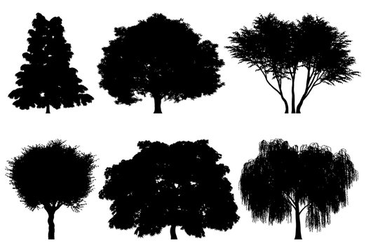 Vector illustration of tree silhouettes for architectural compositions with backgrounds
