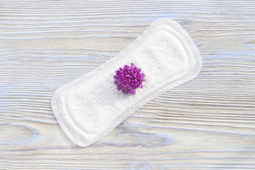 Fototapeta na wymiar Hygiene concept photo. Menstruation sanitary soft pad with flower, hygiene protection. Daily, menstrual woman pads for hygiene or blood period. Woman critical days, gynecological menstruation cycle.