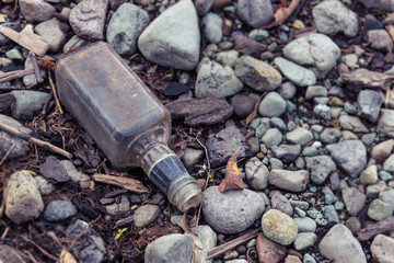 Discarded Whisky Bottle