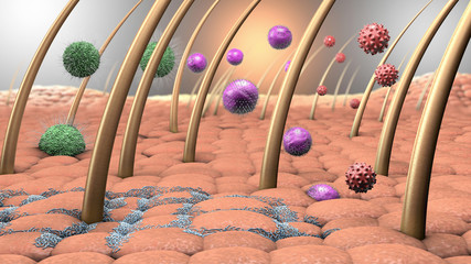3d illustration of viruses and bacteria entering the human skin - obrazy, fototapety, plakaty