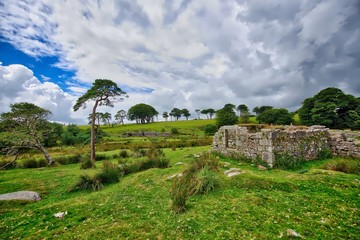 Old Tin Mine, old ruined granite buildings set on Dartmoor.. Dartmoor National Park is vast moorland in the county of Devon, England UK.