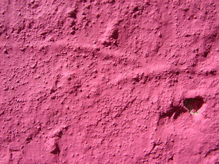 Pared rugosa