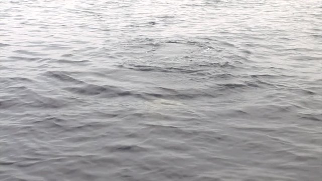 Woman diver dives into flippers underwater in Red Sea. Filming a movie. Young girl smiling at camera.