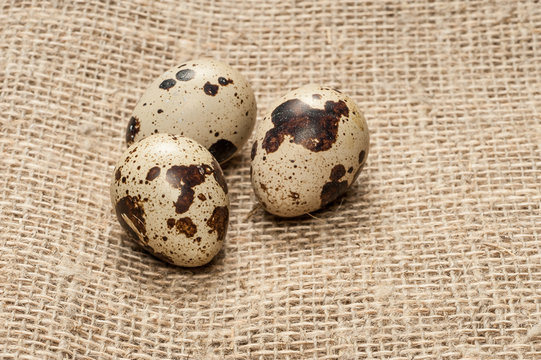 quail eggs on burlap texture background