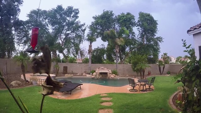 An establishing shot of a summer storm hitting a typical Arizona residential backyard in a suburb neighborhood of Phoenix. Shot at 60fps.  	