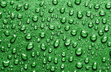 Water drops on green surface macro pattern background.