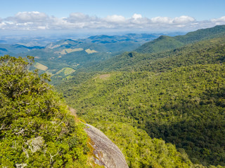 Forest landscape at Monte Verde, Minas Gerais, Brazil.