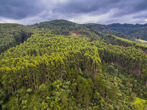 Drone aerial view from forest landscape at Monte Verde, Minas Gerais, Brazil.