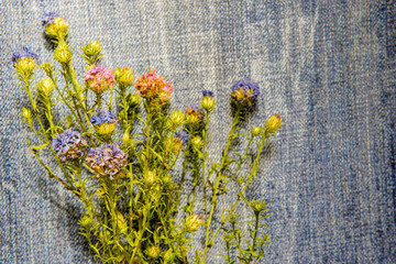 Dry flowers on the surface jeans.