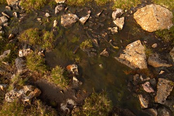 The nature of the Faroe Islands in the north Atlantic 