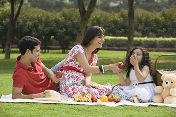 Family at a picnic 
