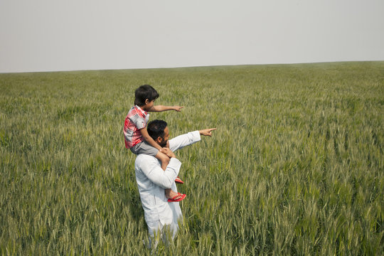 Father and son pointing at something while standing in wheat field 