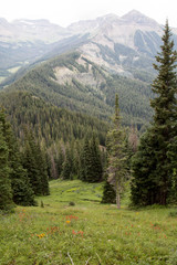 Fototapeta na wymiar Uncompahgre Wilderness in Colorado