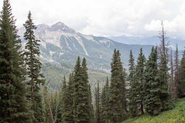 Uncompahgre National forest with mountain peaks
