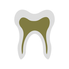 Human tooth isolated icon vector illustration design