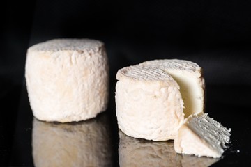 Studio shot of traditional goat cheese Chabichou